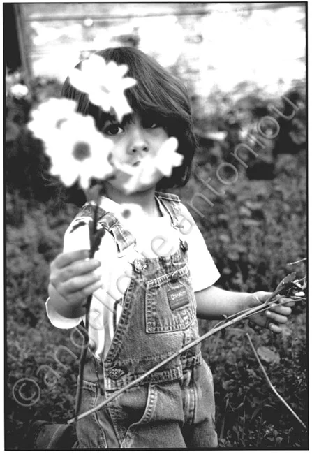 A child in dungarees holding a bunch of daisies up in front of their face in a garden