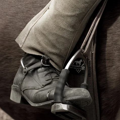 A rider's boot in the stirrup against the horse's flank