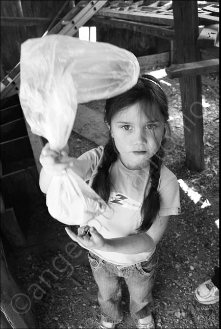 A girl in a barn holding up a clear bag of eggs towards the camera