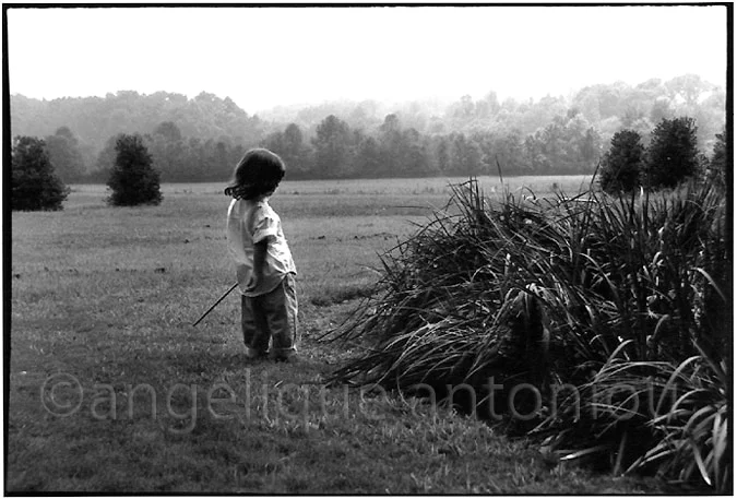 A small child standing at the edge of a mown field holding a stick, misted woods beyond