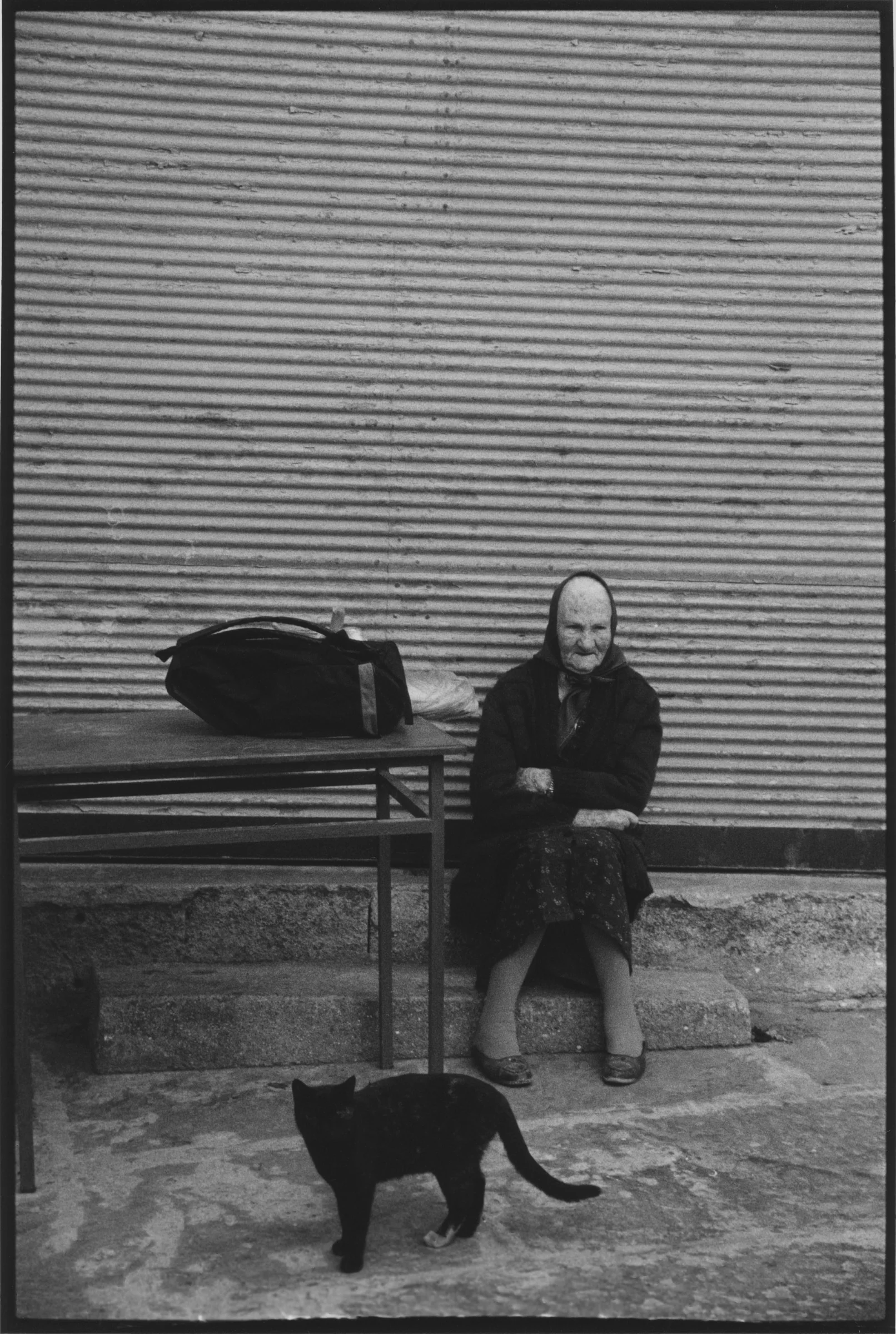 An elderly Greek woman in a headscarf sitting on a step against a corrugated shutter as a black cat walks past. Greek woman in black.